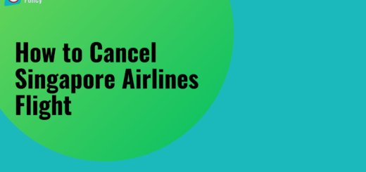 Cancel Singapore Airlines Flight