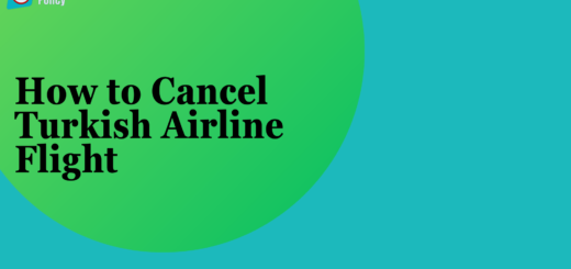 How to Cancel Turkish Airline Flight